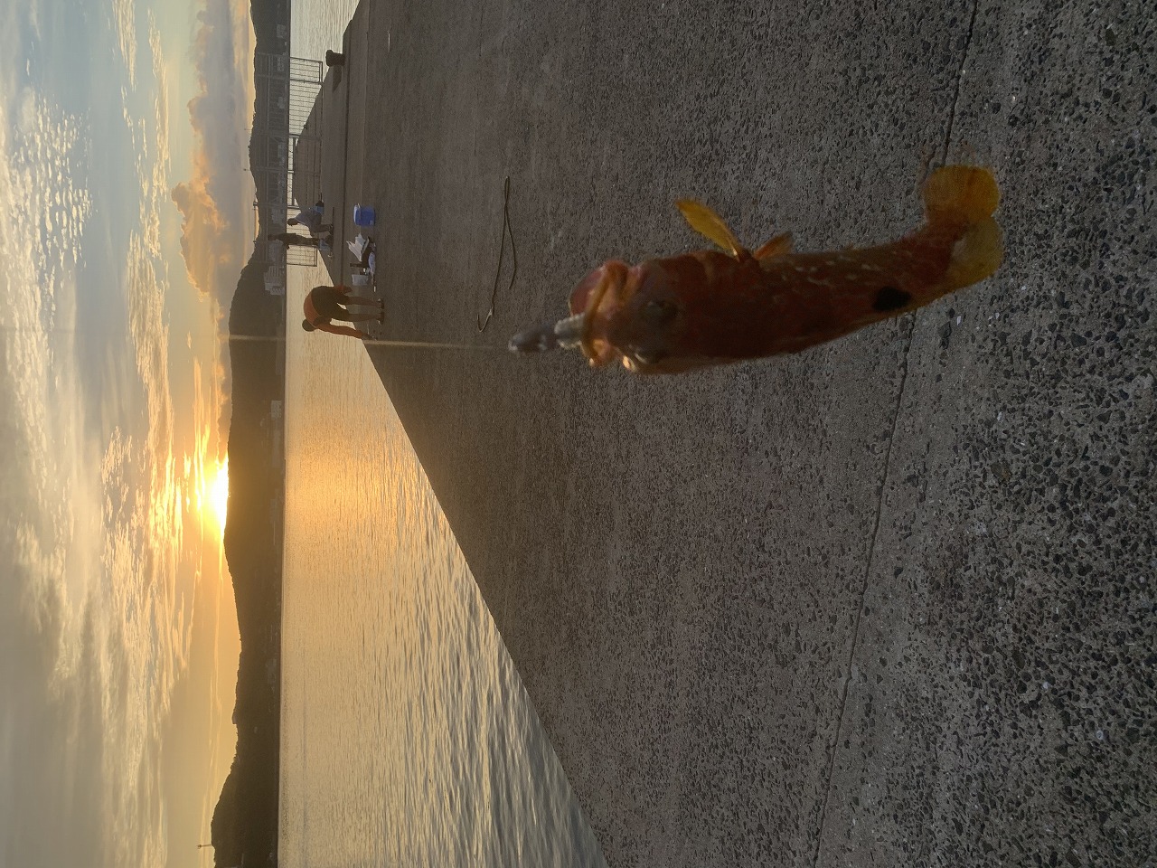 73FD4BDF-3EBE-460D-AE87-DE7F55A93BEF (1)